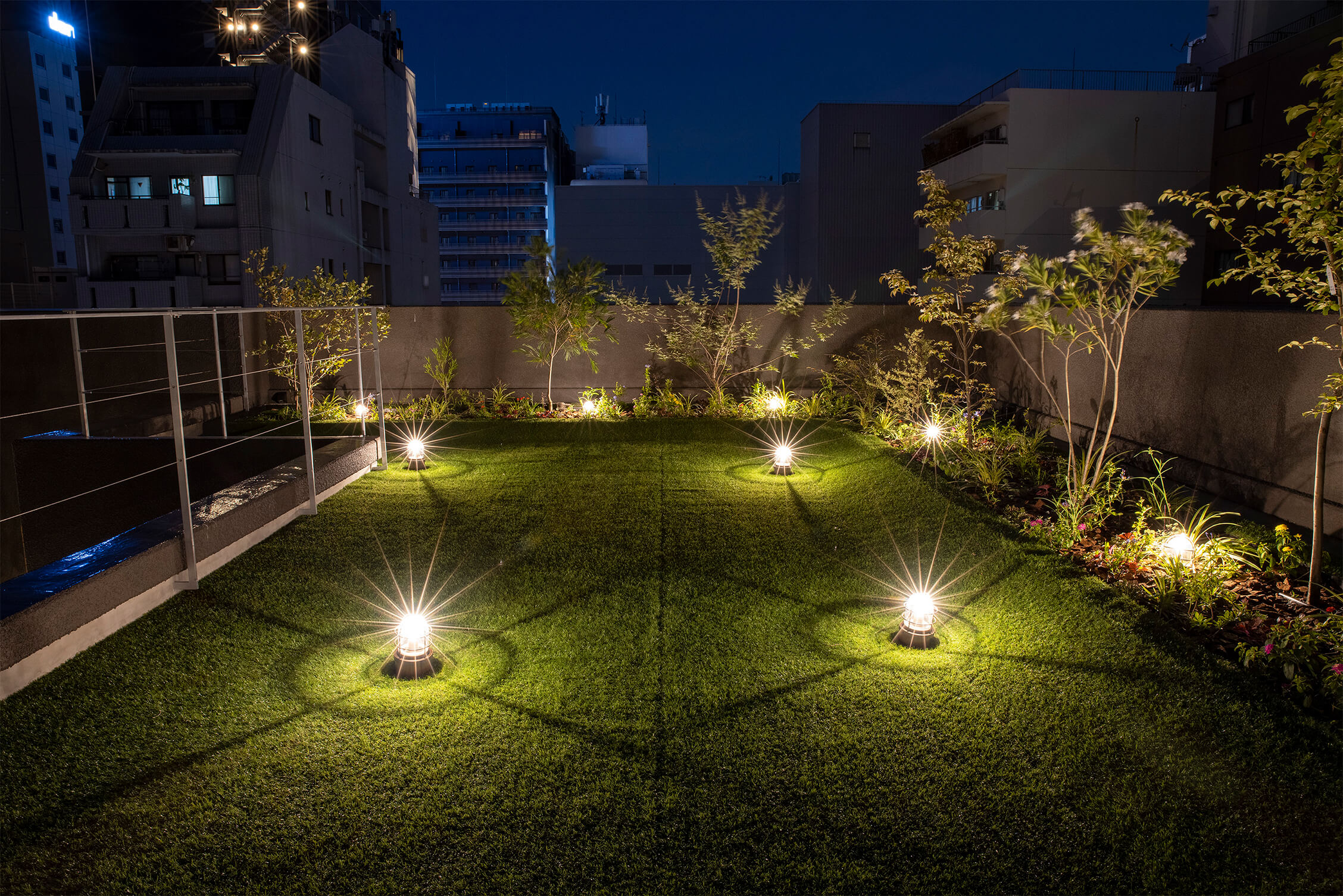 Palm tree Rooftop Garden